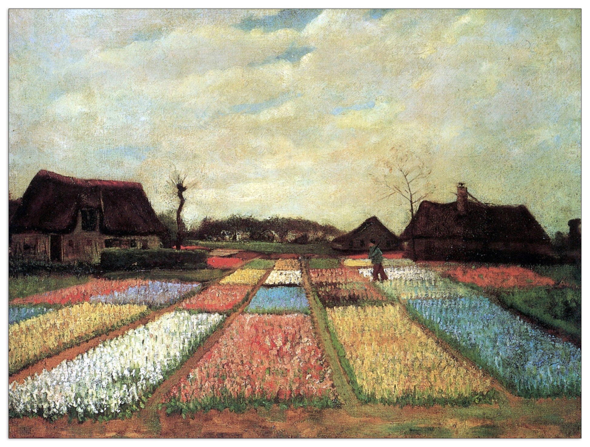 Bulb Fields cm 120x90