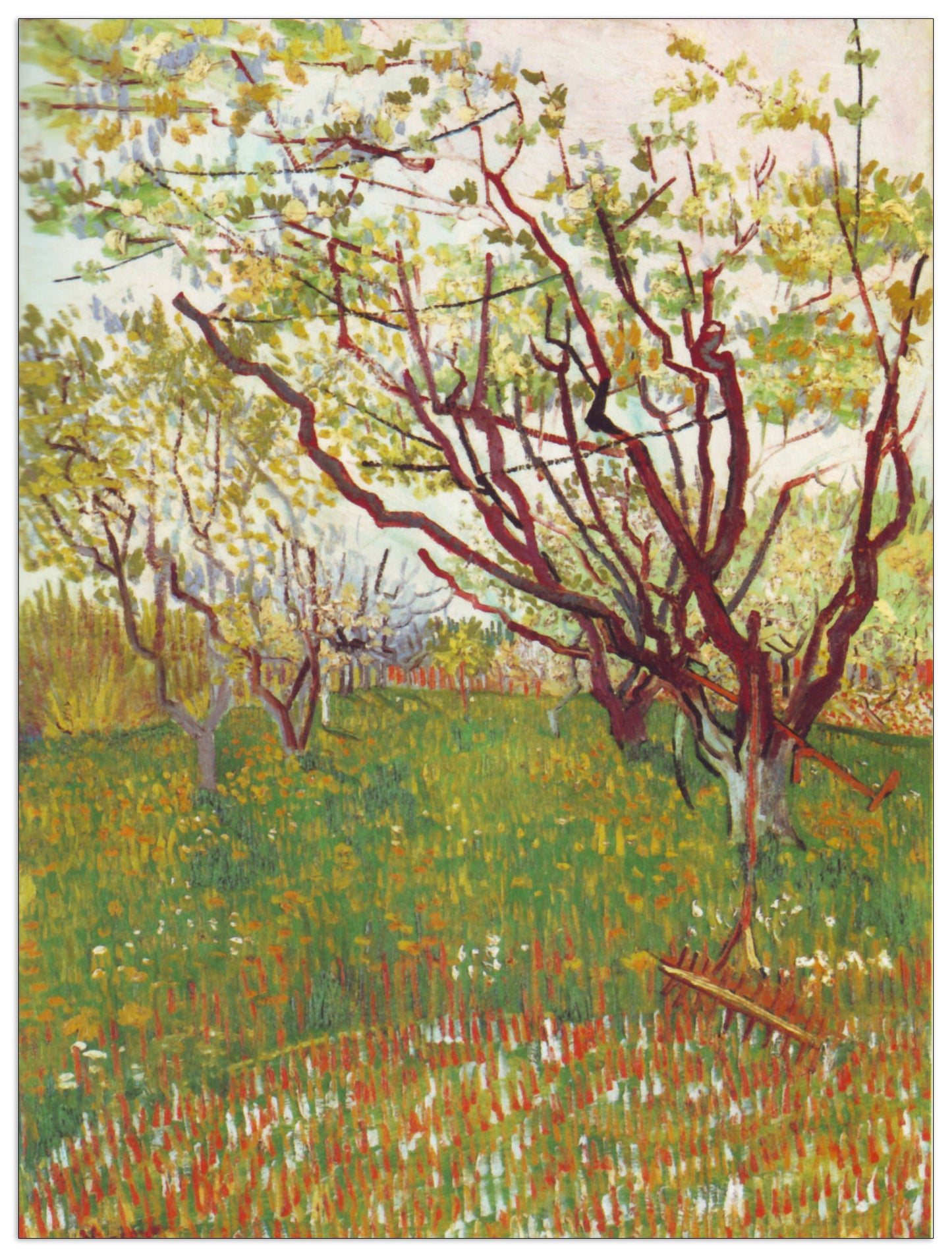 Cherry Tree by Van Gogh cm 90x120