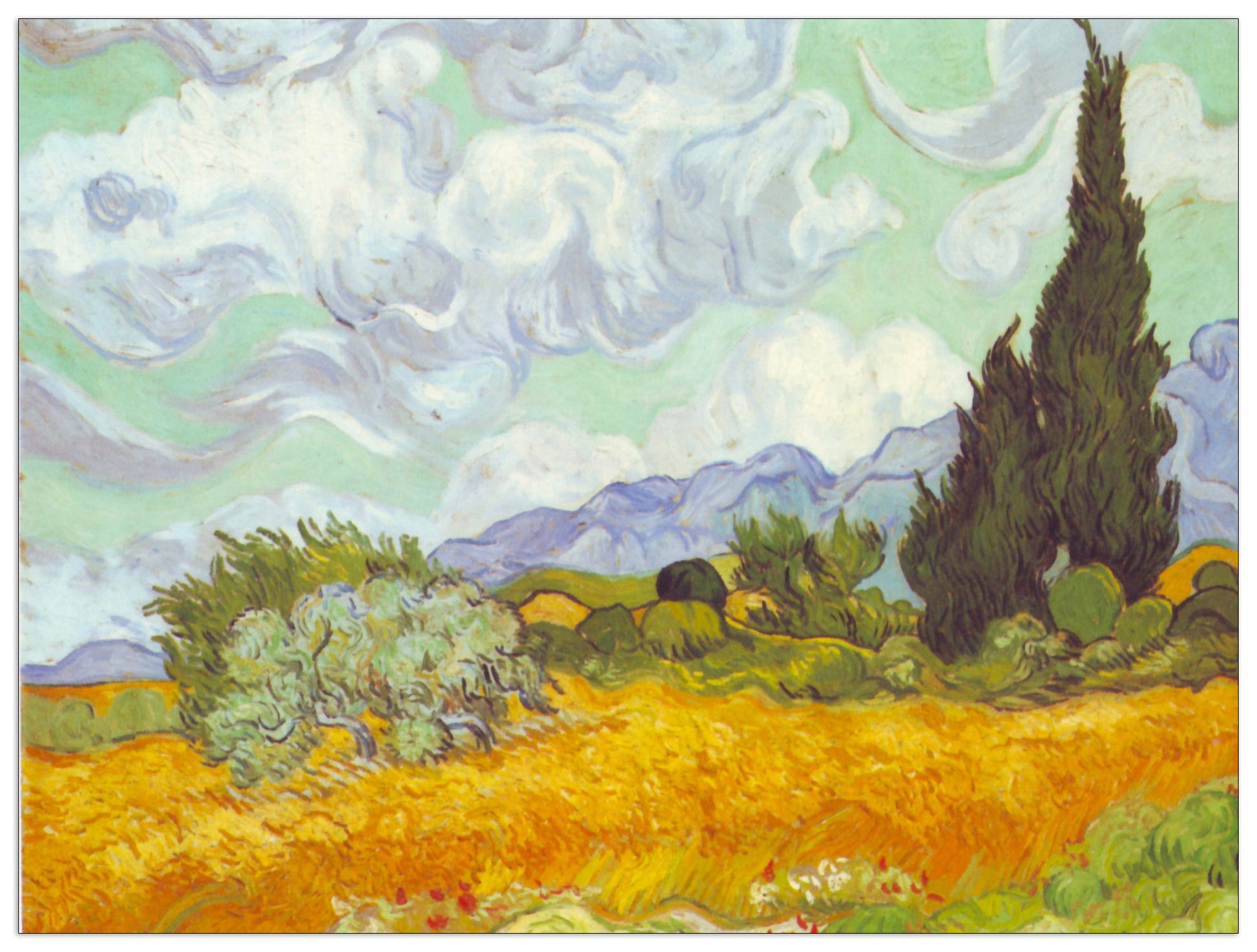 Cornfield with Cyprusses cm 120x90