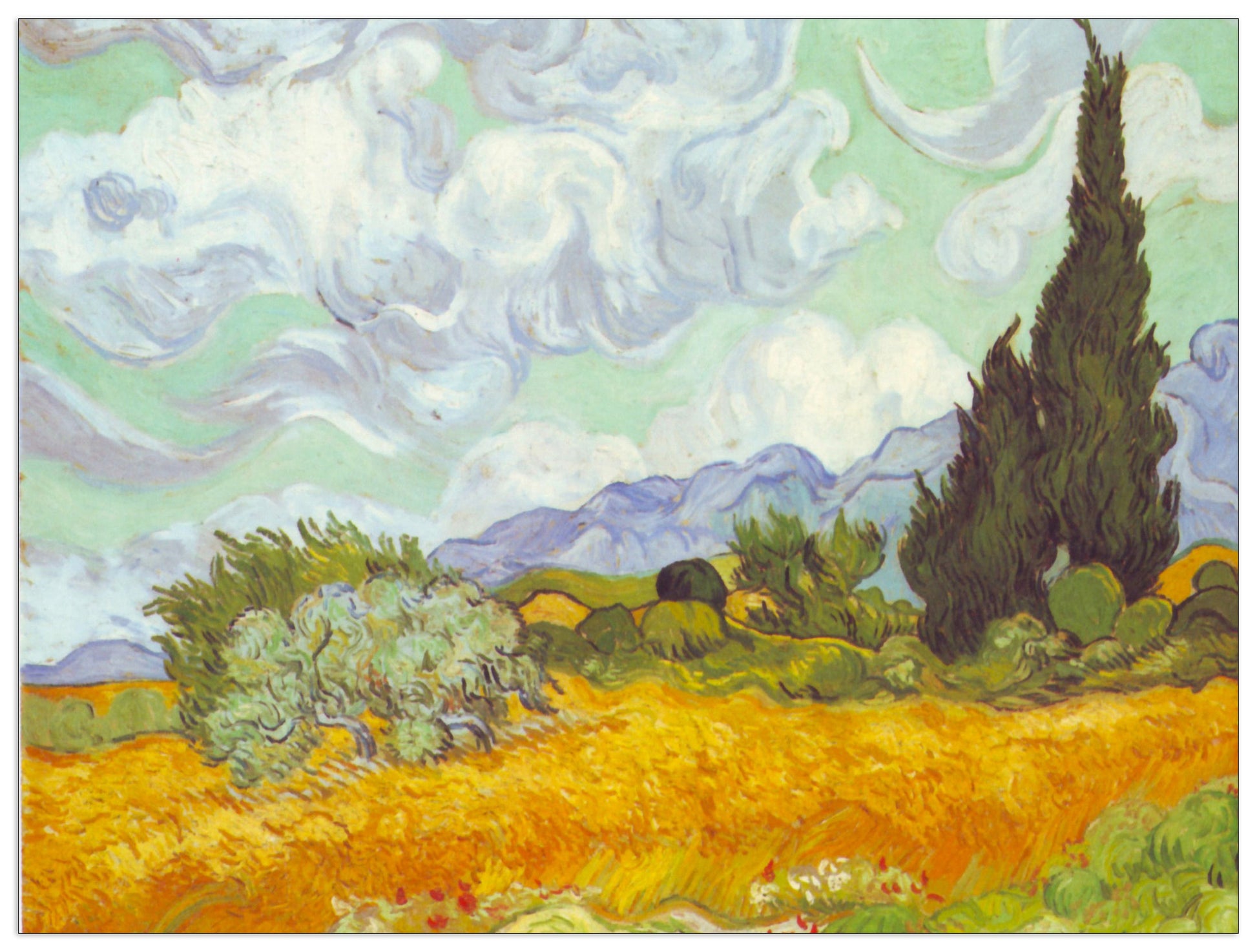 Cornfield with Cyprusses cm 80x60