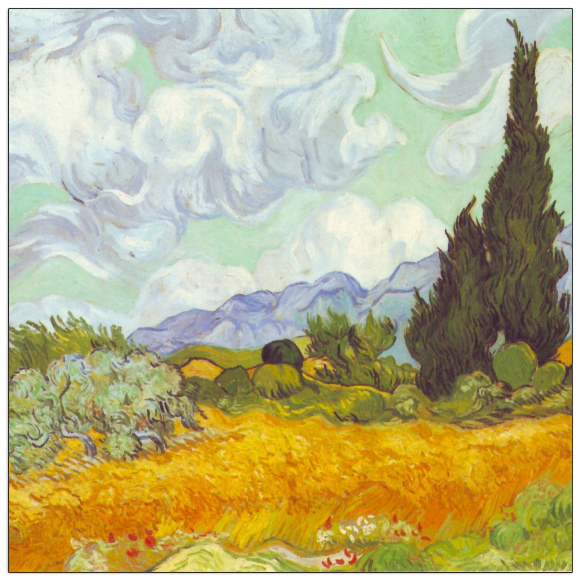 Cornfield with Cyprusses cm 30x30