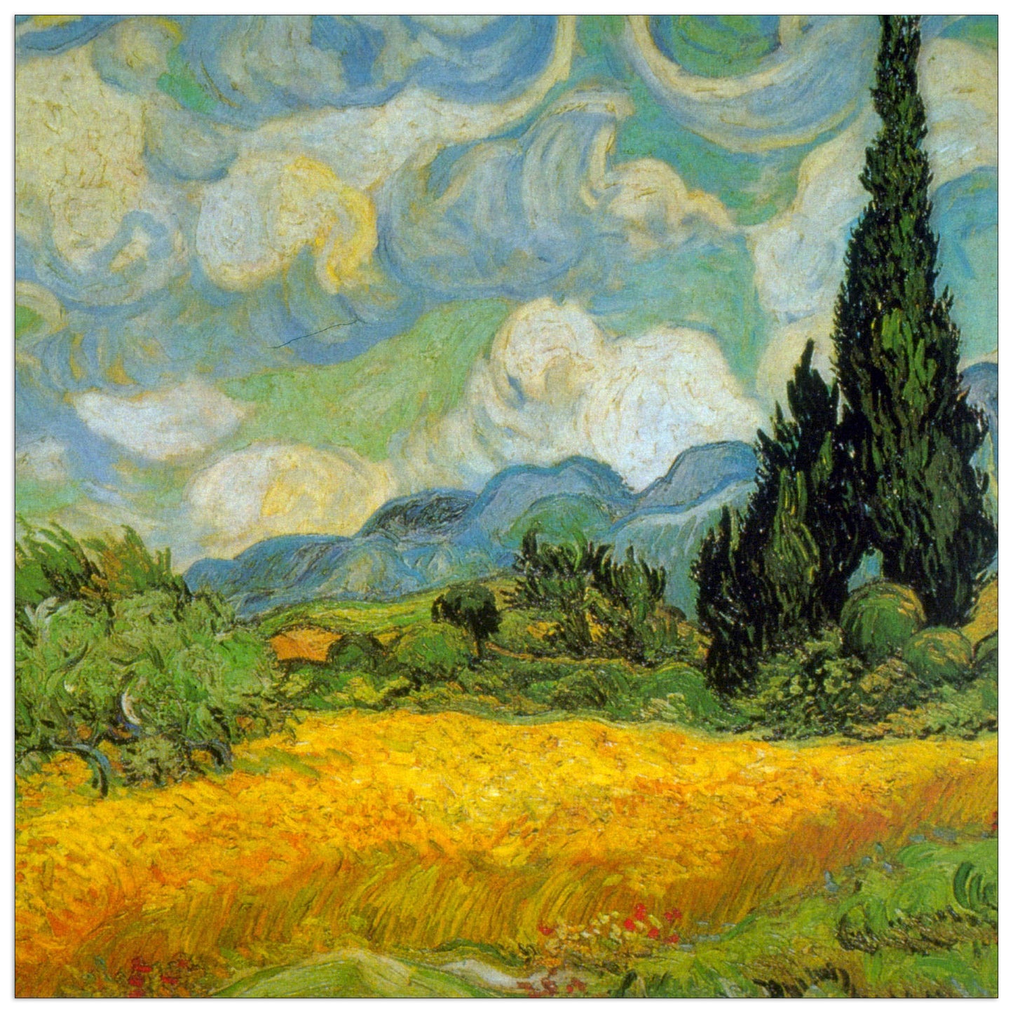 Cypresses cm 30x30