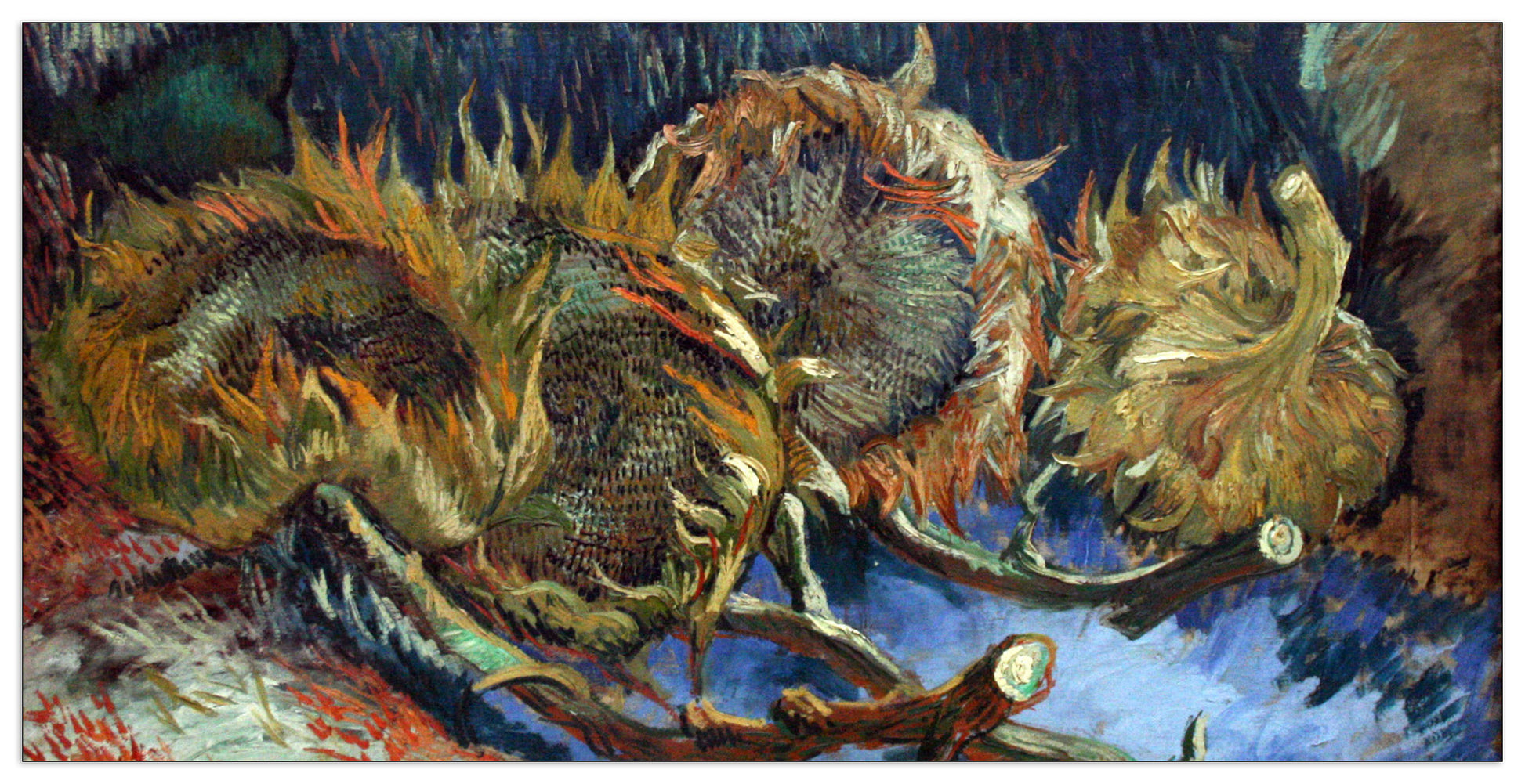 Four Sunflowes gone to Seed cm 100x50