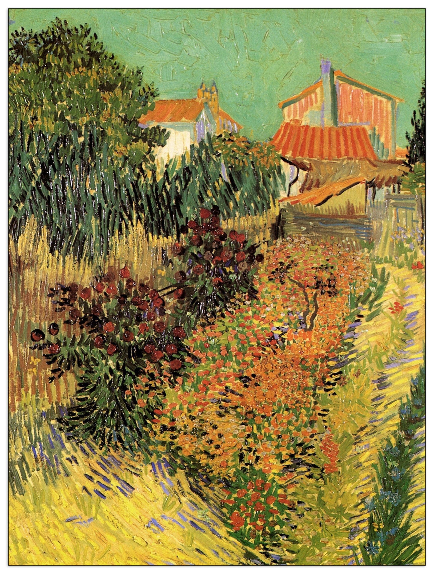 Garden Behind cm 90x135