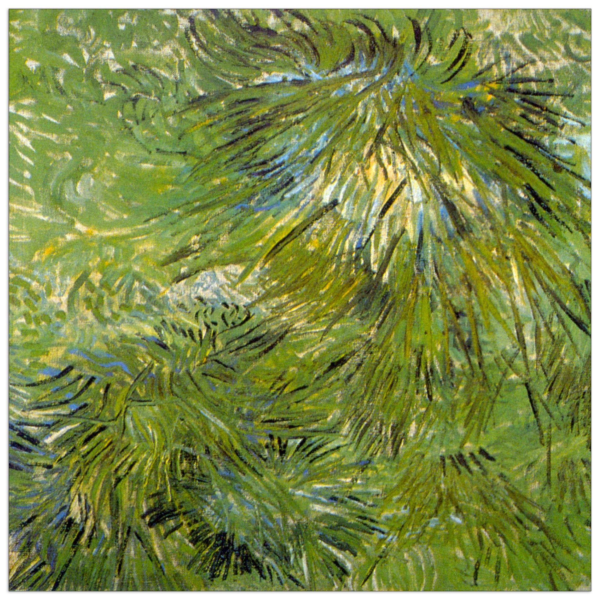 Grass cm 50x50