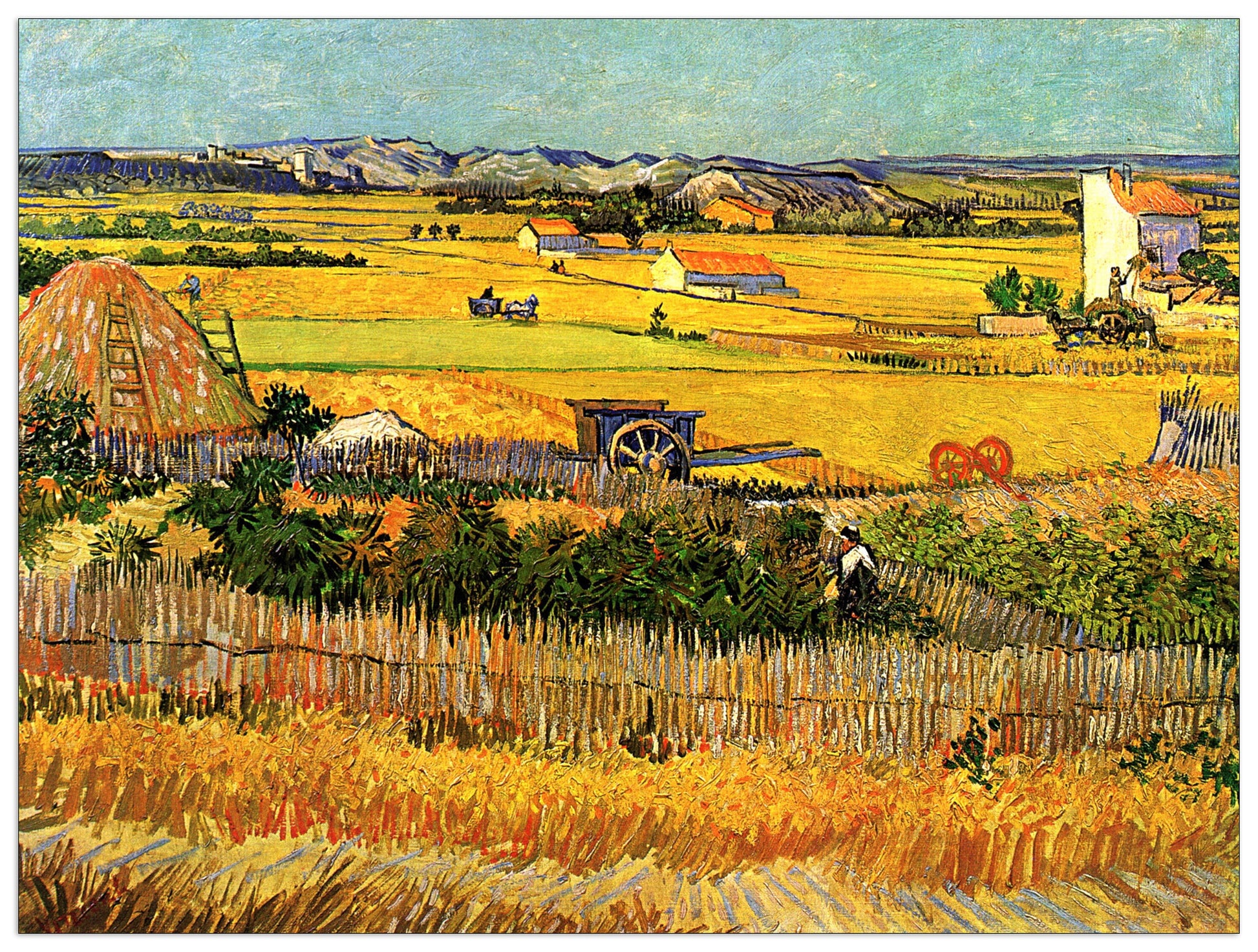 Harvest at La Crau with Montmajour in the Background cm 80x60