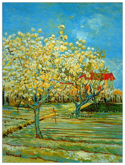 Orchard cm 60x80