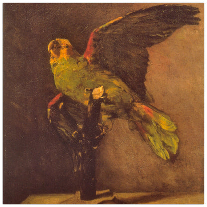 Parrot cm 70x70