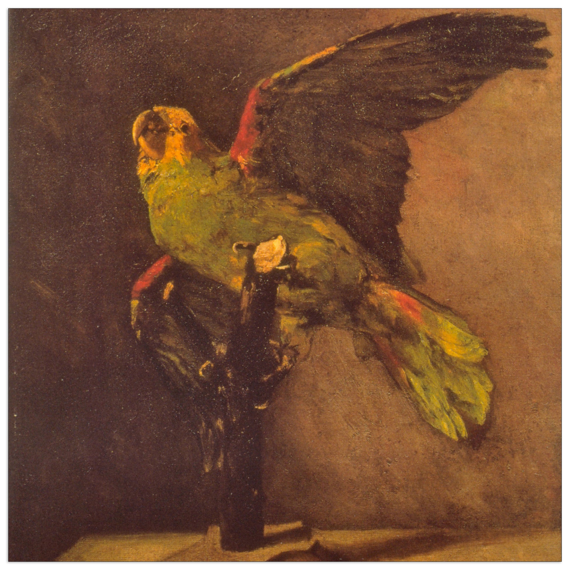 Parrot cm 30x30