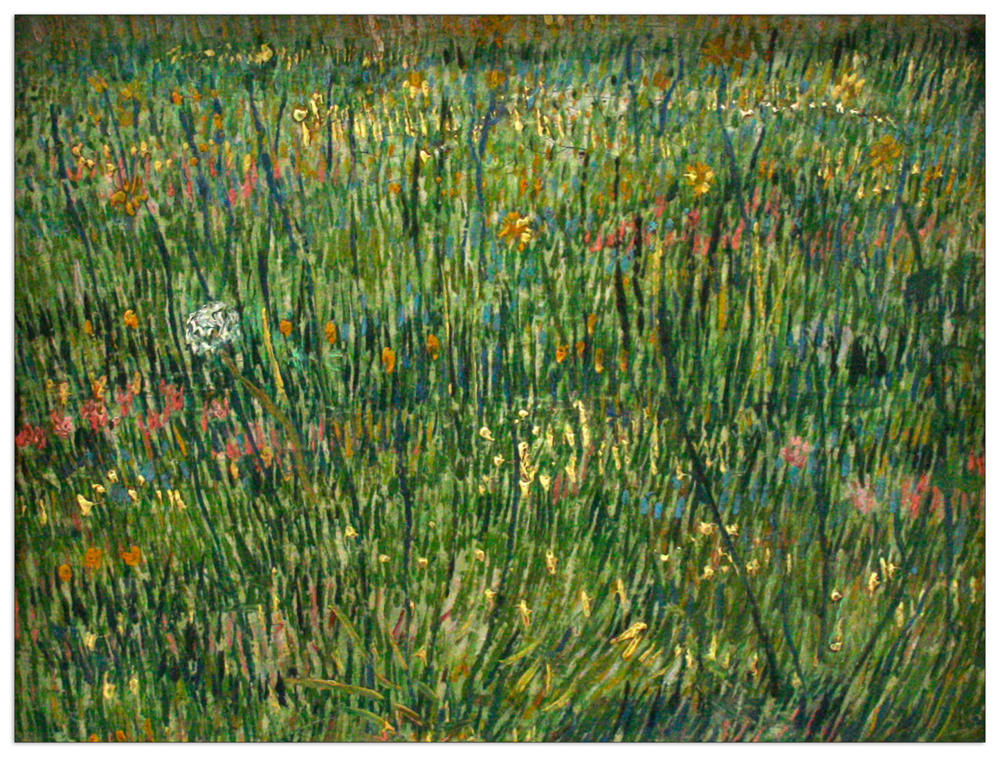 Patch of grass cm 80x60