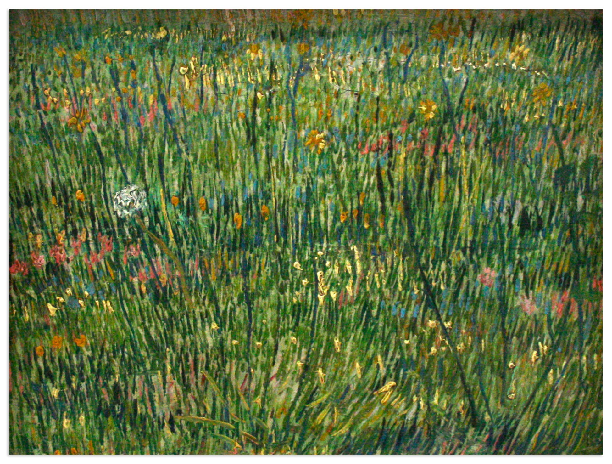 Patch of grass cm 80x60