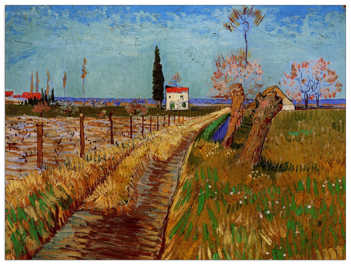 Path Through a Field with Willows cm 120x90