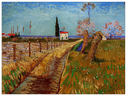 Path Through a Field with Willows cm 120x90