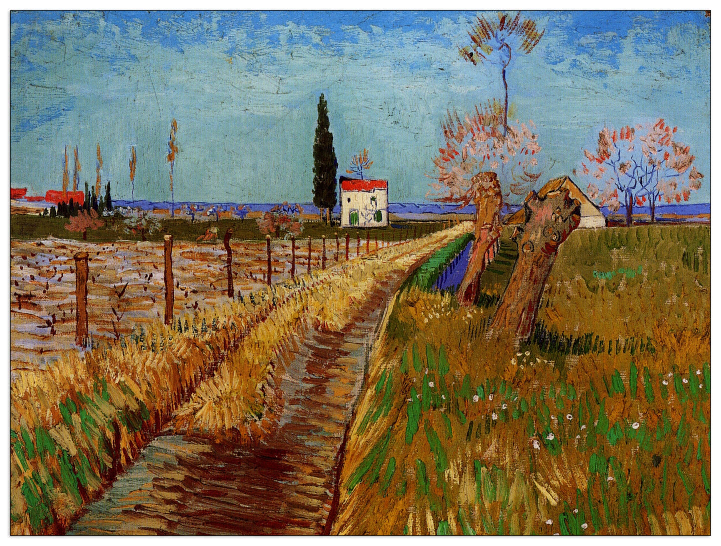 Path Through a Field with Willows cm 80x60