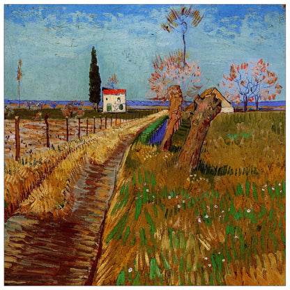 Path Through a Field with Willows cm 100x100