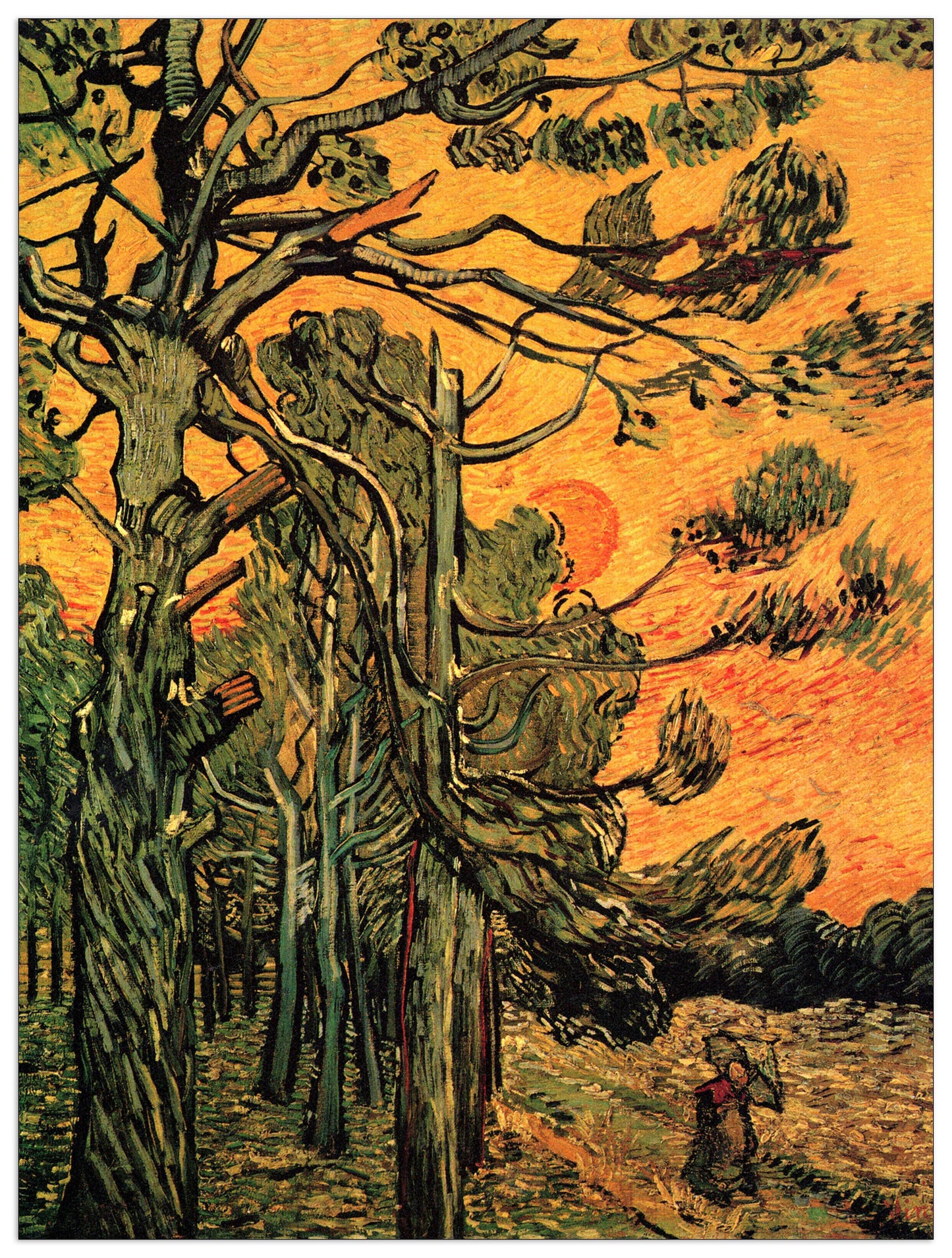 Pine Trees against a Red Sky with Setting Sun cm 60x120
