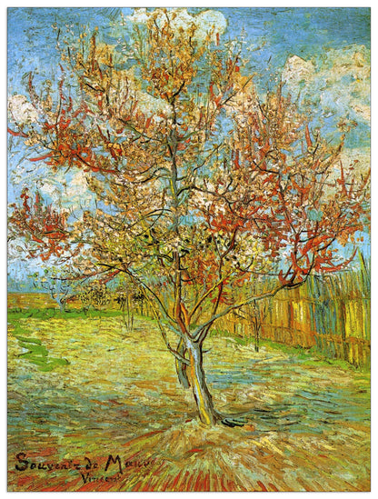 Pink Peach Tree in Blossom Reminiscence of Mauve cm 60x80