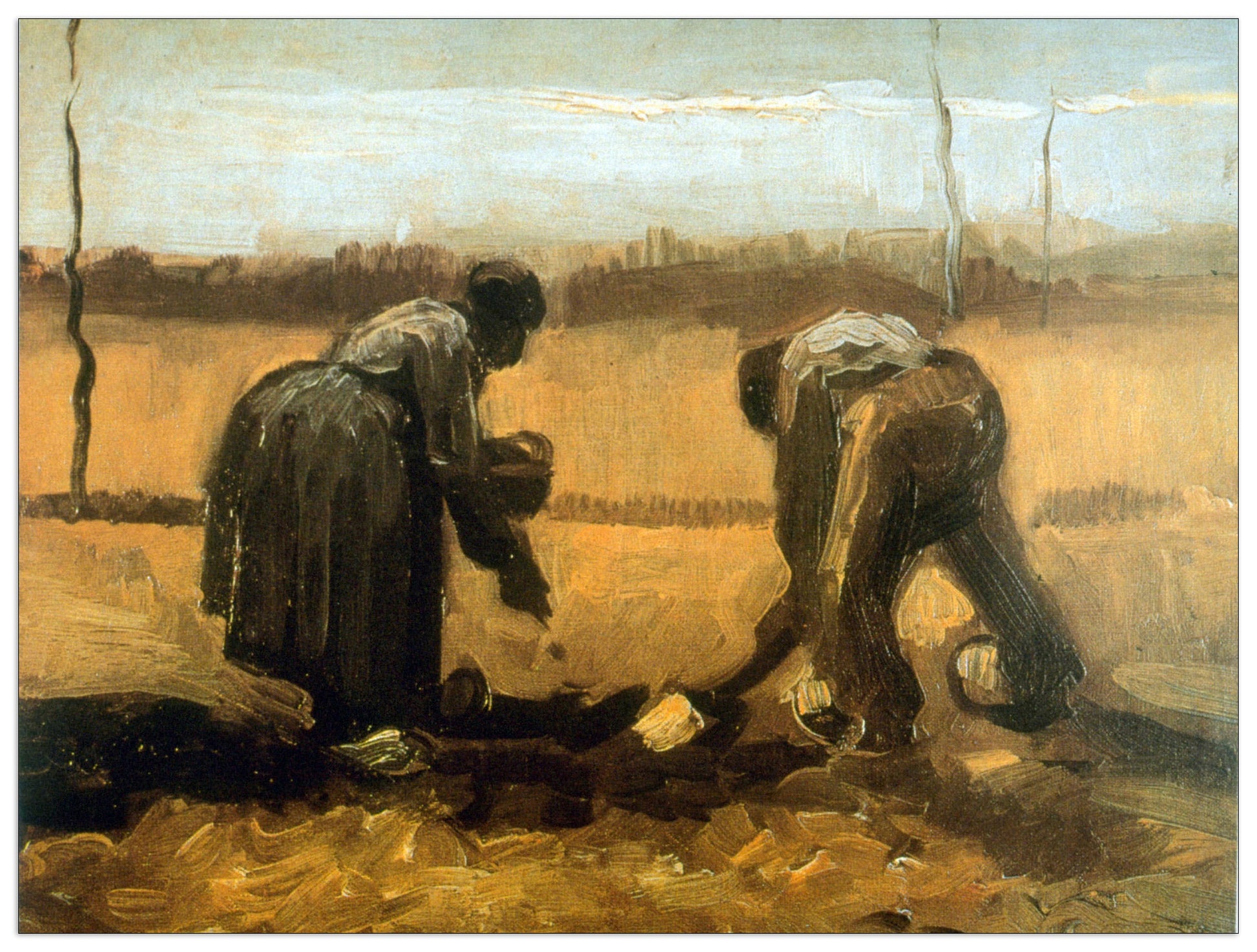 Planting cm 120x90
