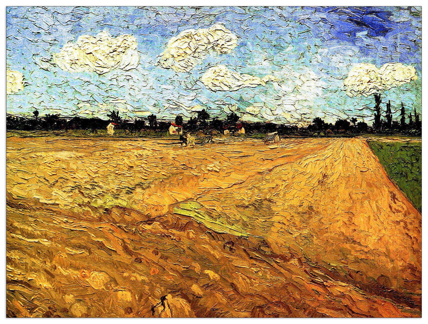 Ploughed Field cm 120x90