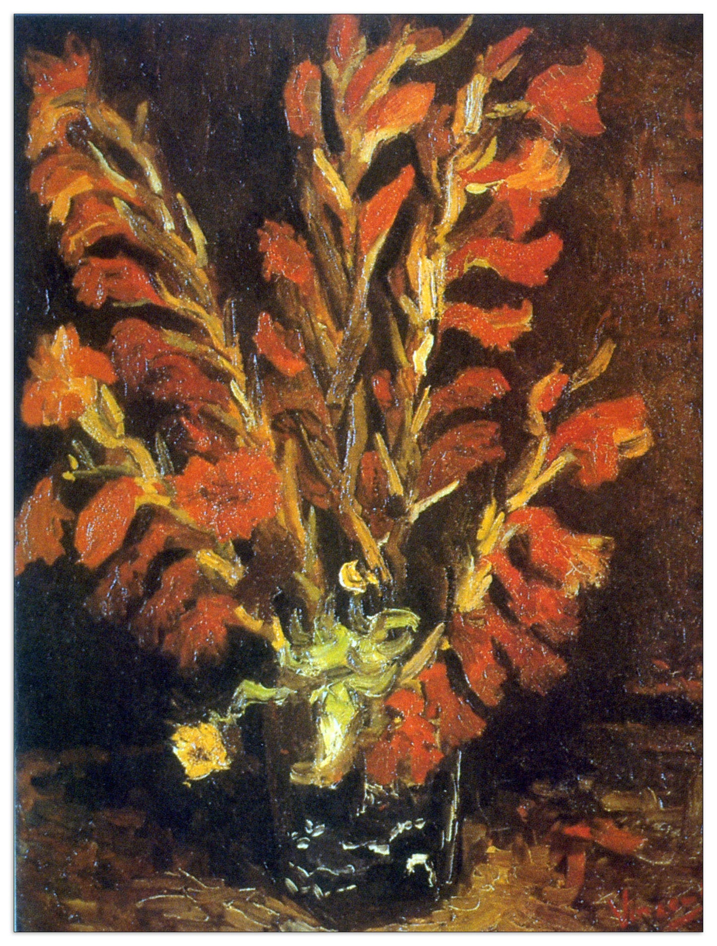Red Gladioli cm 60x80