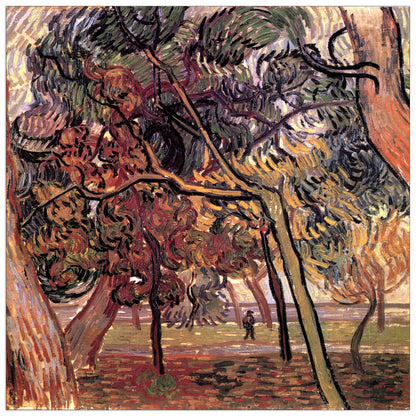 Study of Pine Trees cm 70x70