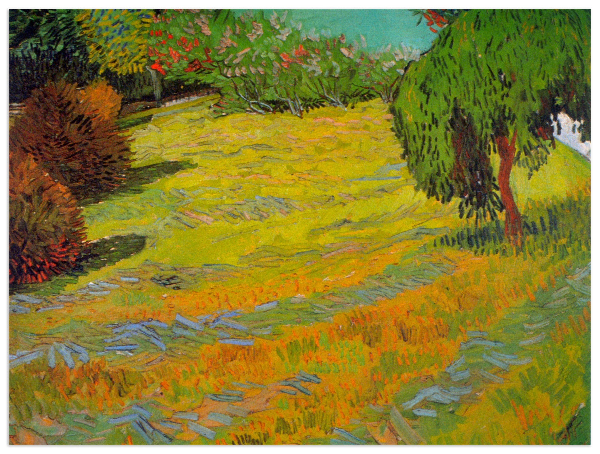 Sunny Lawn cm 80x60
