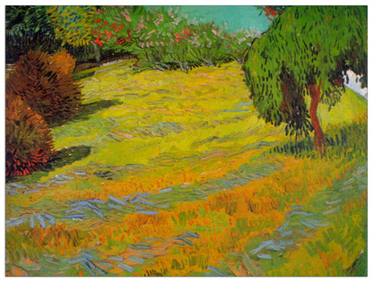 Sunny Lawn cm 80x60