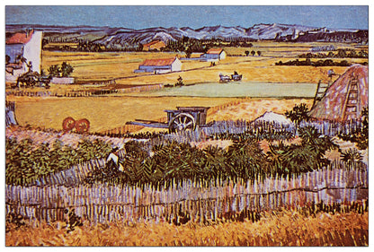 The Harvest cm 135x90
