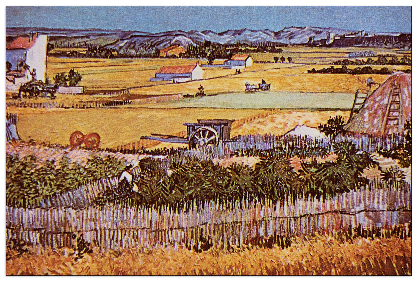 The Harvest cm 90x60