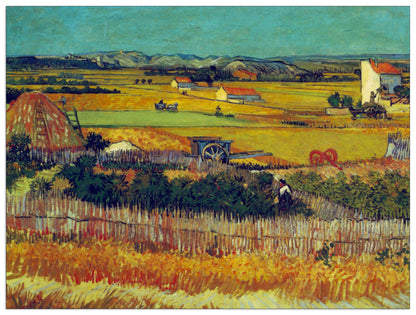 The Harvest, Arles cm 80x60