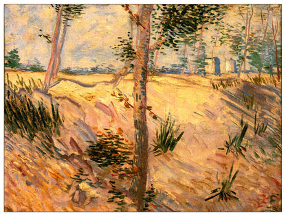 Trees in a Field on a Sunny Day cm 120x90
