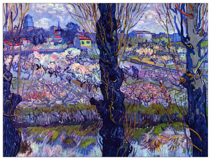 View of Arles cm 120x90
