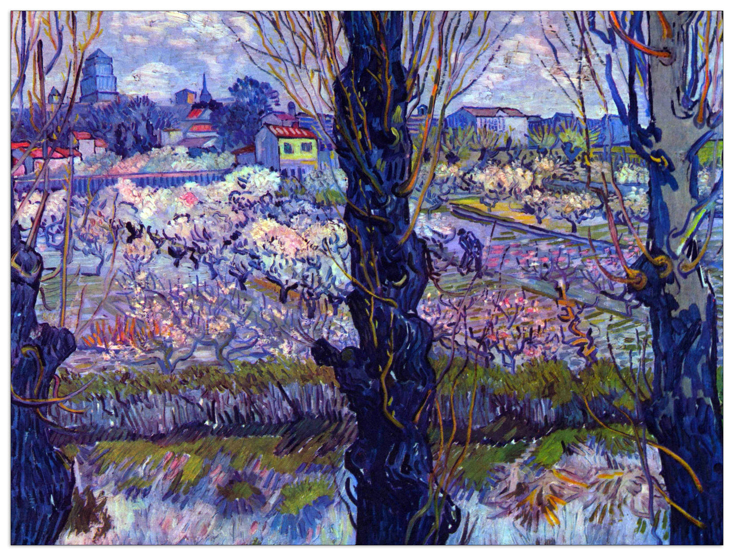 View of Arles cm 80x60