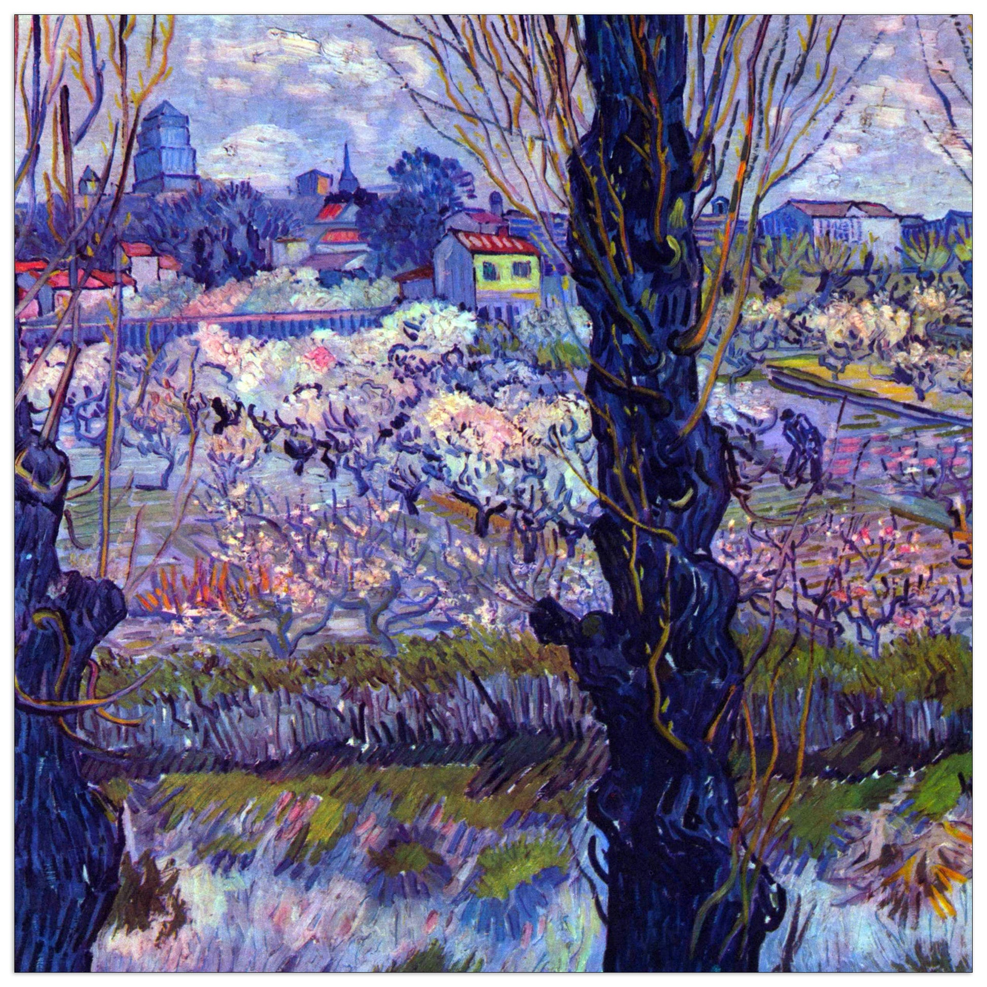 View of Arles cm 70x70