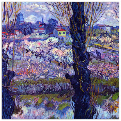 View of Arles cm 70x70
