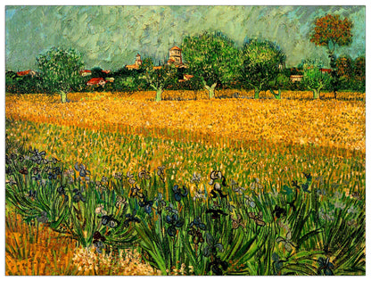 View of Arles with Irises in the Foreground cm 80x60