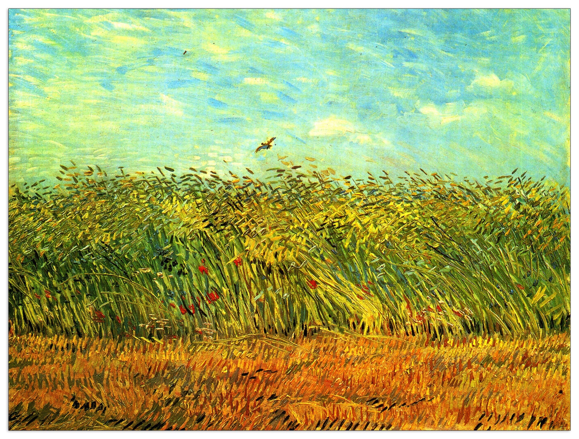 Wheat Field with a Lark cm 80x60