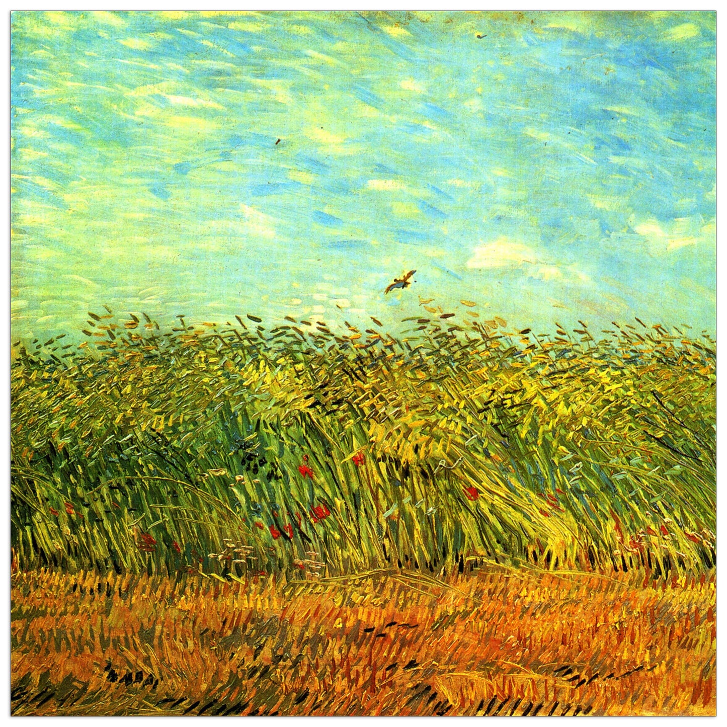 Wheat Field with a Lark cm 70x70