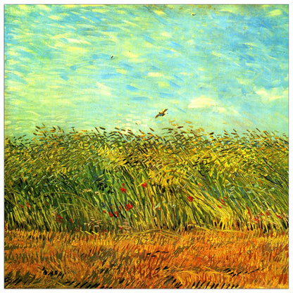 Wheat Field with a Lark cm 70x70