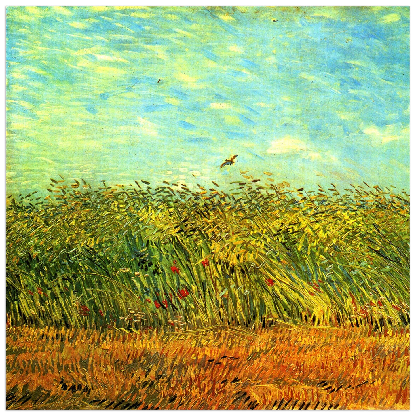 Wheat Field with a Lark cm 50x50
