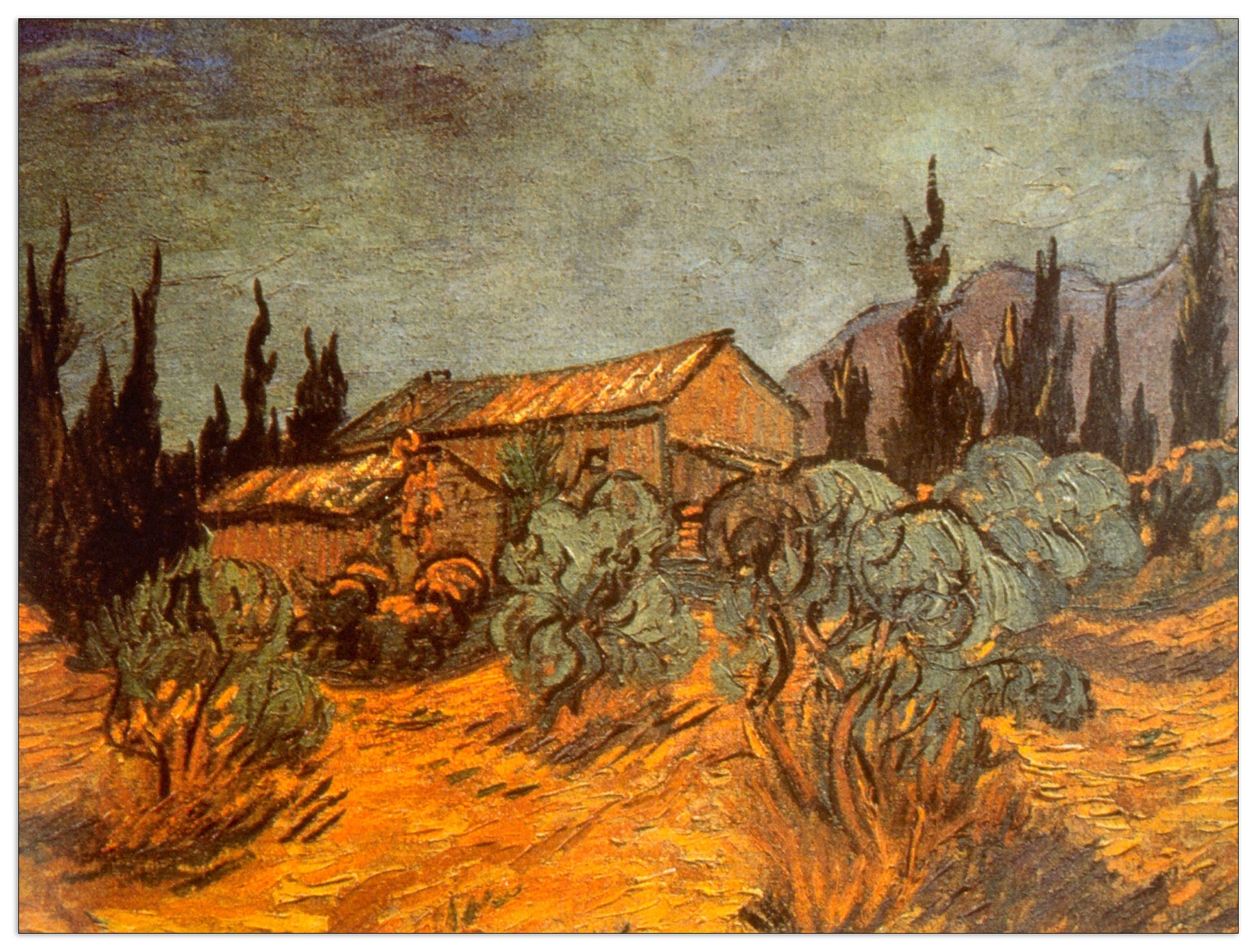 Wooden Sheds cm 80x60