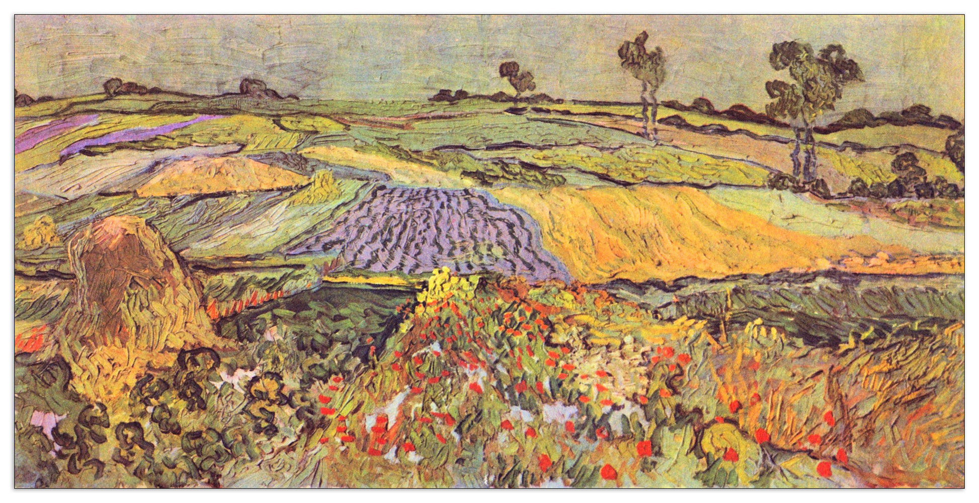 At Auvers cm 100x50