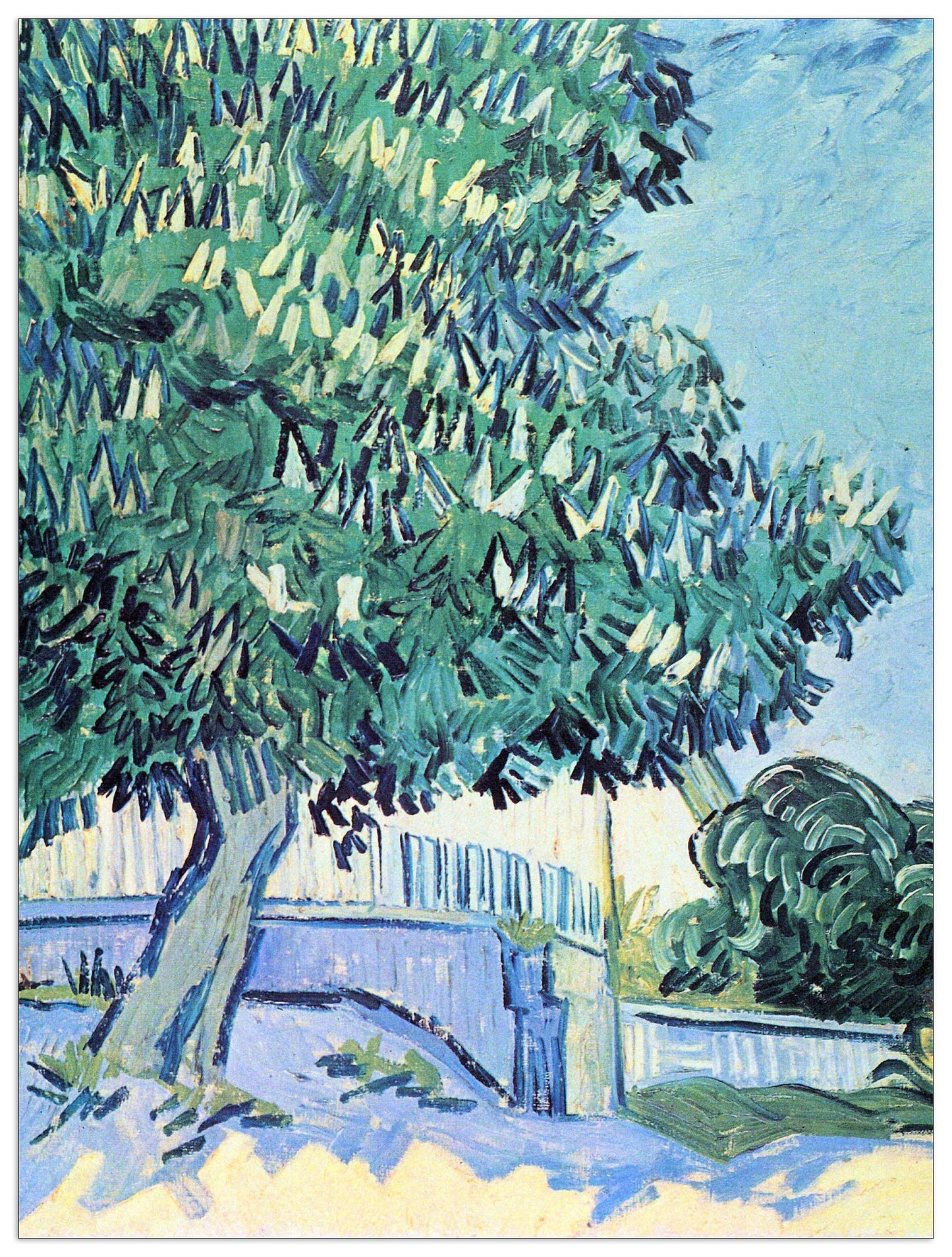 Blossoming chestnut tree II cm 90x120