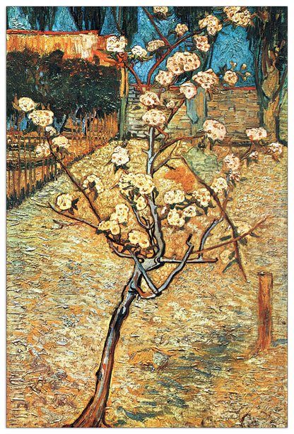 Flowering pear cm 90x135