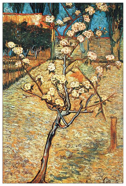 Flowering pear cm 60x90
