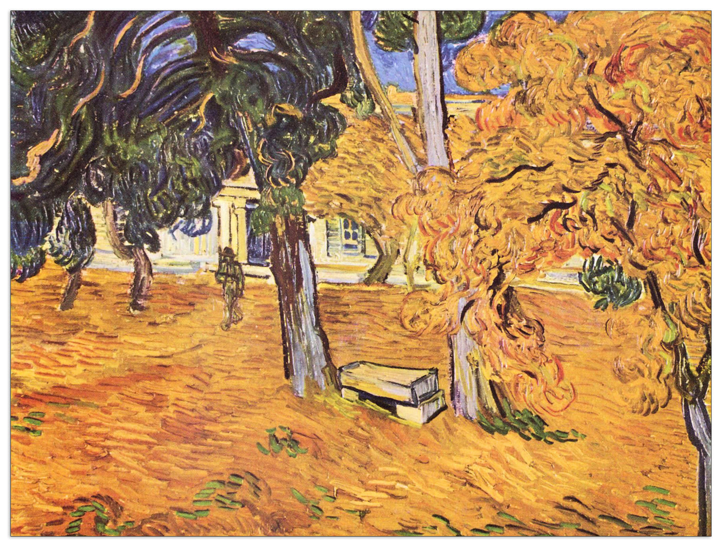 The park of St-Paul Hospital in Saint-ReÌmy II cm 80x60