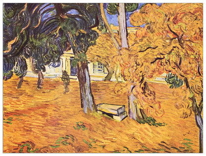 The park of St-Paul Hospital in Saint-ReÌmy II cm 80x60