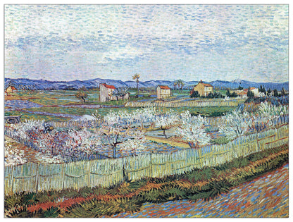 La Crau near Arles with blossoming peach trees cm 120x90