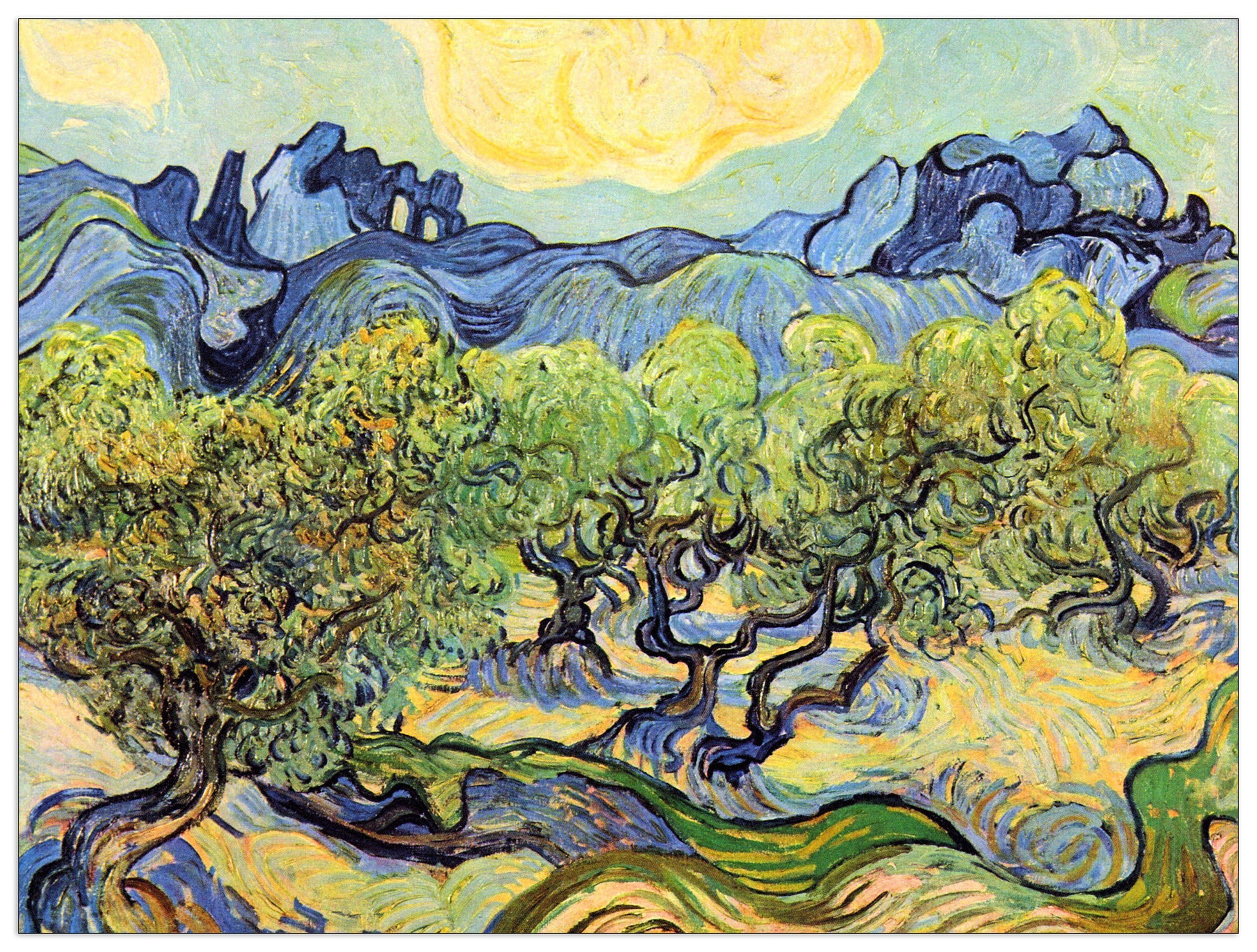 Landscape with olive Trees cm 120x90