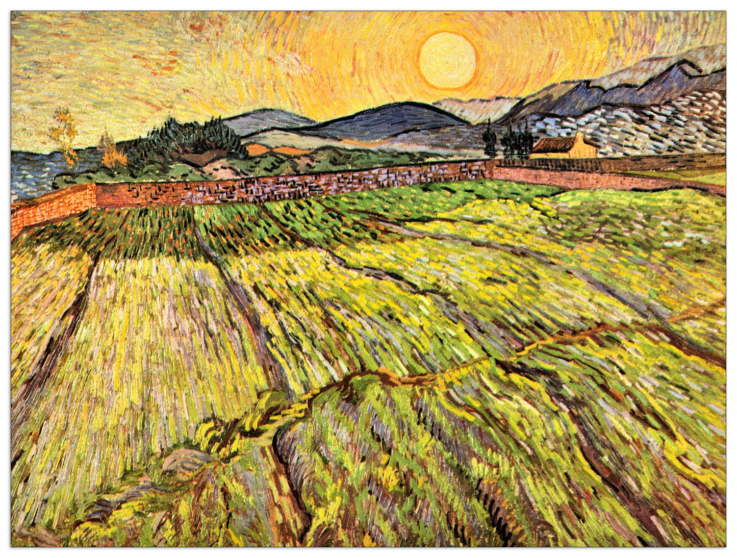 Landscape with plowed fields cm 80x60